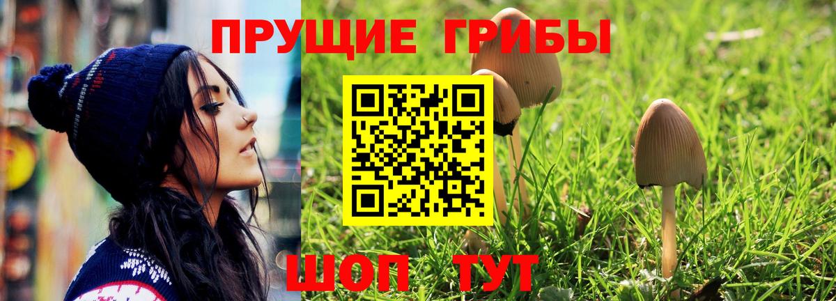 Галлюциногенные грибы прущие грибы Воткинск